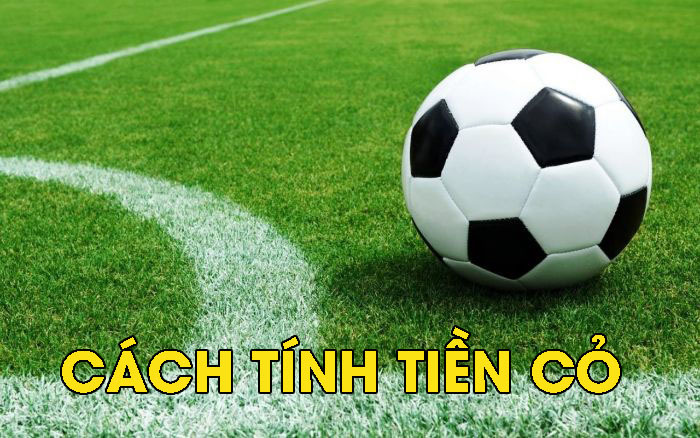 Bật mí cách tính tiền cỏ trong cá độ chuẩn xác nhất hiện nay