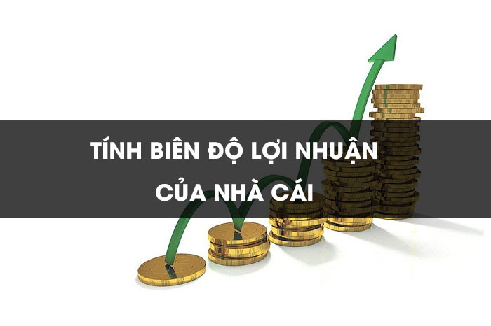 Cách tính biên lợi nhuận của nhà cái