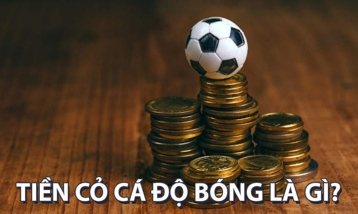 Bật mí cách tính tiền cỏ trong cá độ chuẩn xác nhất hiện nay
