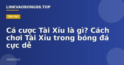Cá cược Tài Xỉu là gì? Cách chơi Tài Xỉu trong bóng đá cực dễ