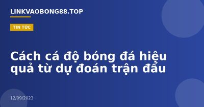 Cách cá độ bóng đá hiệu quả từ dự đoán trận đấu