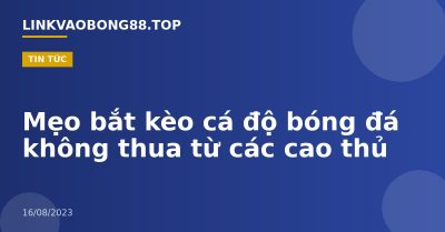 Mẹo bắt kèo cá độ bóng đá không thua từ các cao thủ